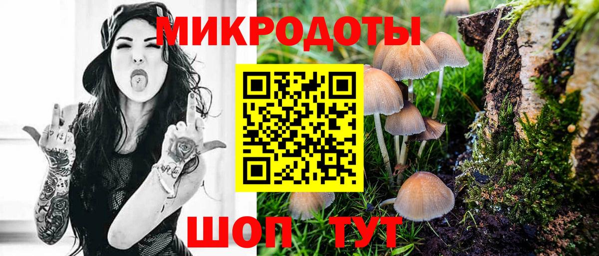 Галлюциногенные грибы Psilocybine cubensis Прохладный