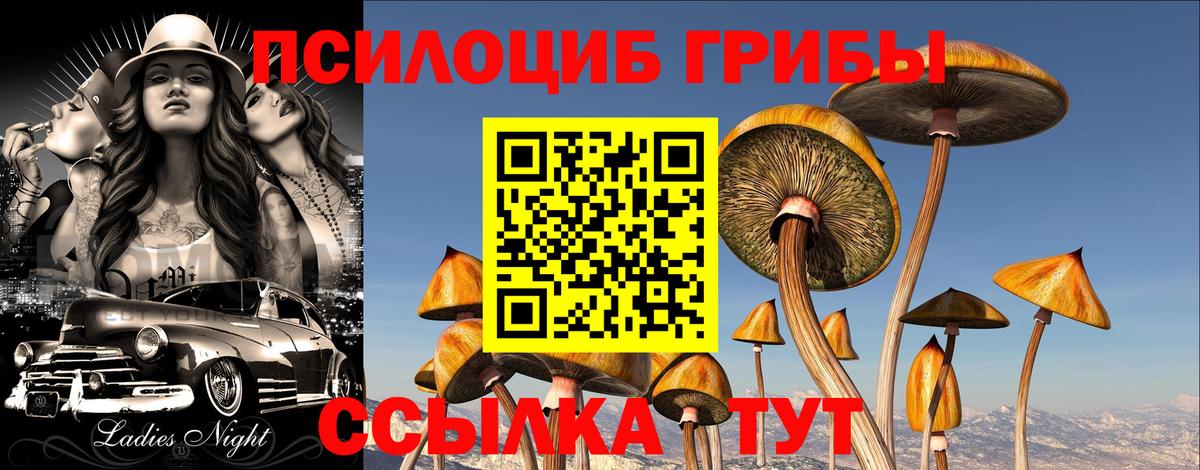 Прохладный  Псилоцибиновые грибы MAGIC MUSHROOMS  Галлюциногенные грибы Magic Shrooms  Вход с VPN 