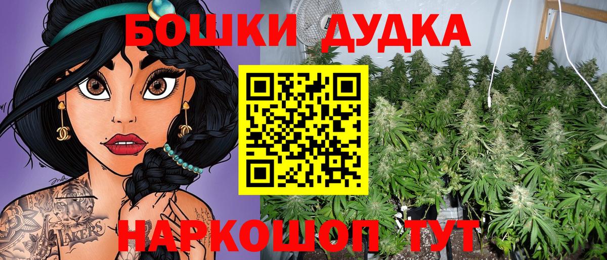 Канабис гибрид Прохладный